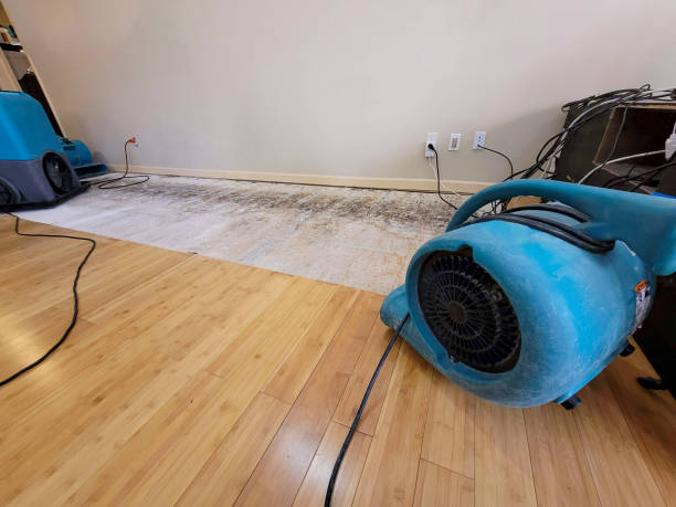 Professional Emergency Water Damage technician working in Clarkston, WA